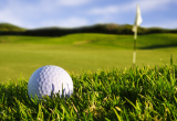 ゴルフボールとグリーン