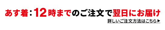 あす着　12時までのご注文で翌日にお届け　詳しいご注文方法はこちら