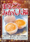 まるごと みかん大福3個入り