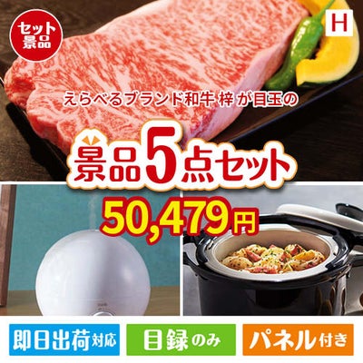 えらべるブランド和牛　梓が目玉の実用的な生活家電＆雑貨景品5点セットH