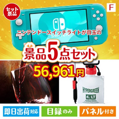 ニンテンドースイッチライトが目玉の備えも贅沢も叶う景品5点セットF