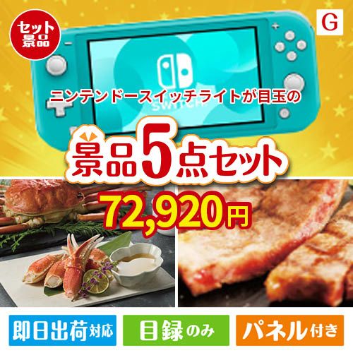 ニンテンドースイッチライトが目玉の食の贅沢と快適アイテムで喜ばれる景品5点セットG