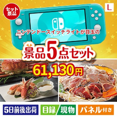 ニンテンドースイッチライトが目玉の家族が喜ぶ景品5点セットL