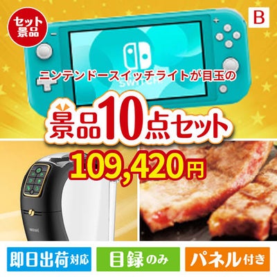 ニンテンドースイッチライトが目玉のグルメ＆生活アイテム満載の景品10点セットB