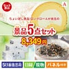 ちょい足し景品 ロングロールケーキ 5点セットA