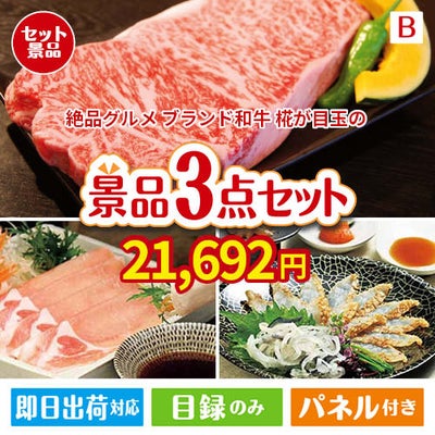 絶品！グルメづくし えらべるブランド和牛【椛 もみじ】 3点セットB