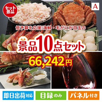 予算の少ない幹事さま応援景品 海鮮・毛がに 10点セットA