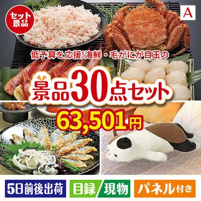 予算の少ない幹事さま応援景品 海鮮・毛がに 30点セットA