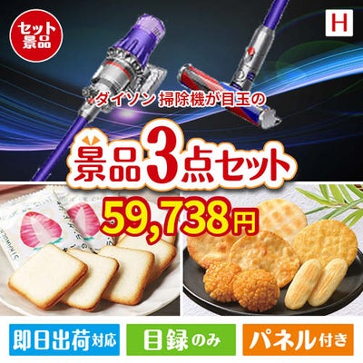 ダイソン掃除機が目玉の幅広い世代に喜ばれる人気お菓子景品3点セットH