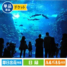 【送料込み】新江ノ島水族館招待券8枚！最短即日発送！速達発送可能！チケット招待券 新江ノ島水族館 ご招待券 2枚セット 有効期限2026年7月31日｜Yahoo