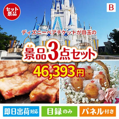 ディズニーペアチケットが目玉のグルメに嬉しいお肉とスイーツ景品3点セットB