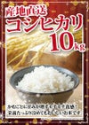 コシヒカリ 10kg