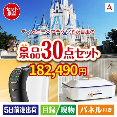 ディズニーペアチケットが目玉のオールジャンルの景品が揃う万能景品30点セットA