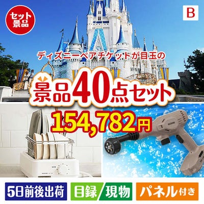 ディズニーペアチケットが目玉の家電もグルメも大満足の豪華景品40点セットB