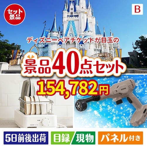 ディズニーペアチケットが目玉の家電もグルメも大満足の豪華景品40点セットB