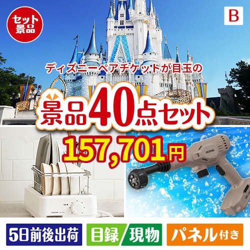 ディズニーペアチケットが目玉の家電もグルメも大満足の豪華景品40点セットB