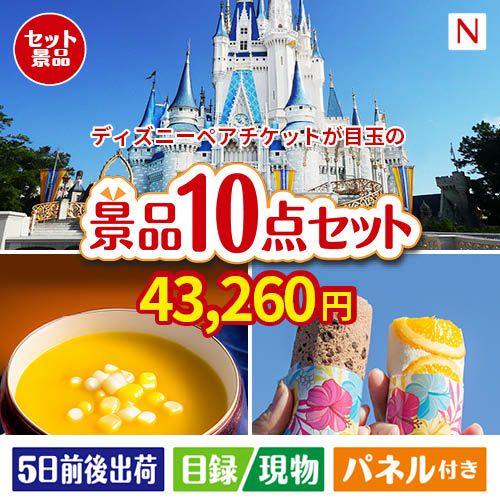 ディズニーペアチケットが目玉の便利で嬉しい景品10点セットN