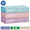 スコッティファン１２０組（３箱パック）