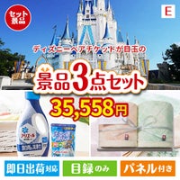 ディズニーペアチケットが目玉の毎日使える実用的な生活応援景品3点セットE