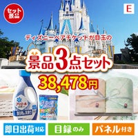 ディズニーペアチケットが目玉の毎日使える実用的な生活応援景品3点セットE