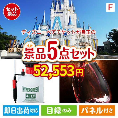 ディズニーペアチケットが目玉の備えも贅沢も叶う景品5点セットF
