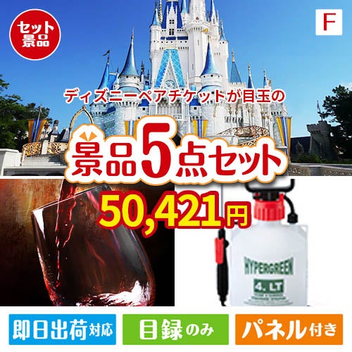 ディズニーペアチケットが目玉の備えも贅沢も叶う景品5点セットF