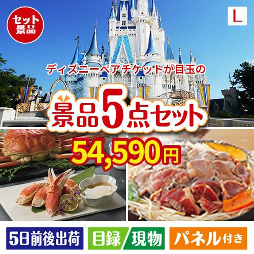 ディズニーペアチケットが目玉の家族が喜ぶ景品5点セットL