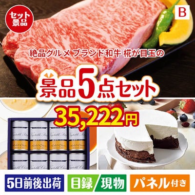 絶品！グルメづくし えらべるブランド和牛【椛 もみじ】 5点セットB